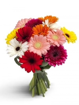  Alanya Çiçek Siparişi - Renkli Gerbera Buketi