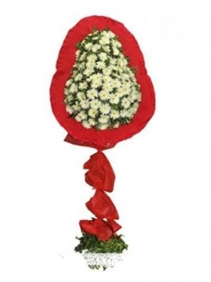  Alanya Çiçekçiler - Beyaz Gerbera 