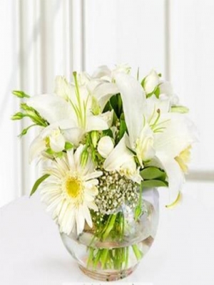  Alanya Çiçekçiler - Beyazın Görkemi Gerbera, Lilyum ve Güller